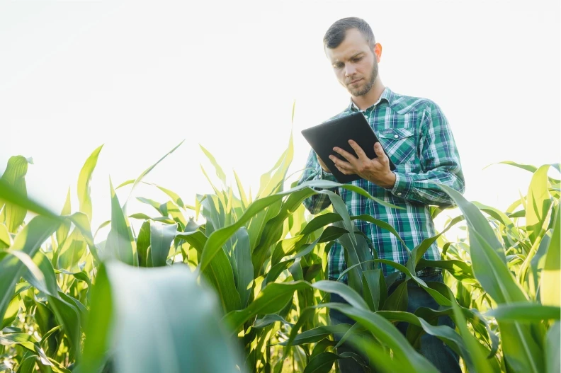 Superávit do Agro Paulista cresce 9,4% no primeiro semestre comparado ao ano passado