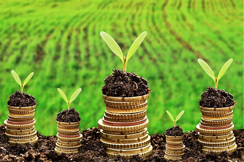 Produtor Rural: Você sabia que possui créditos de ICMS que podem ser requeridos?